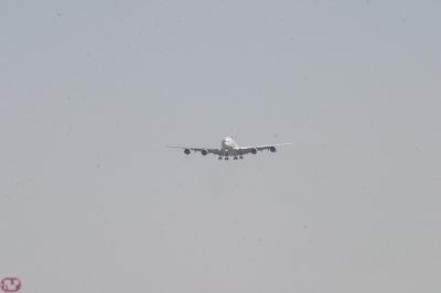 IMG_7048.JPG