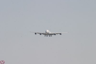IMG_7050.JPG
