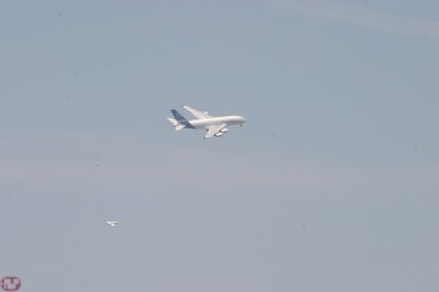 IMG_7099.JPG