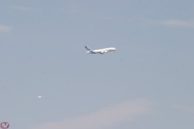 IMG_7101.JPG