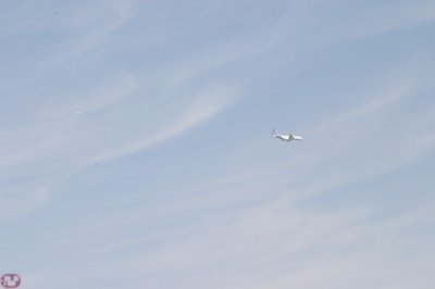 IMG_7118.JPG