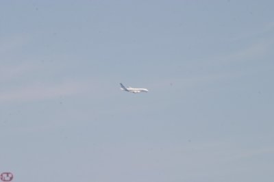 IMG_7124.JPG