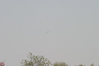 IMG_7131.JPG