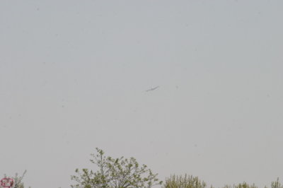 IMG_7132.JPG