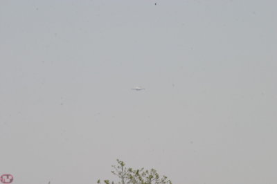 IMG_7133.JPG