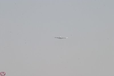IMG_7140.JPG
