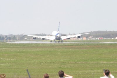 Still flying