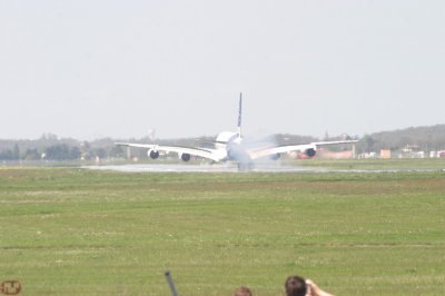 IMG_7167.JPG