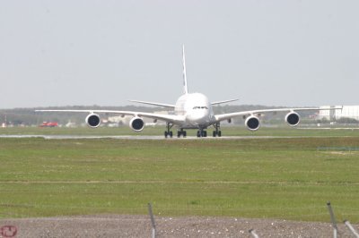 IMG_7223.JPG