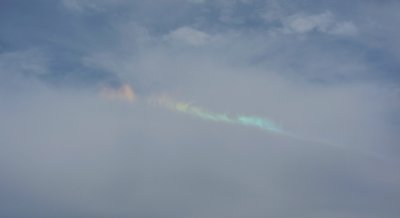 IMG_2443.jpg