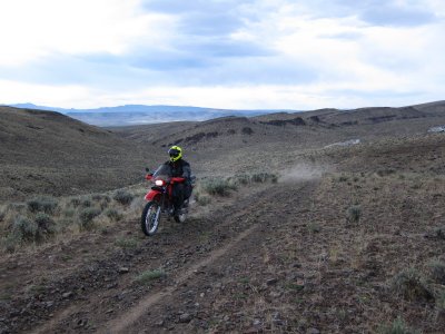 IMG_2498.jpg