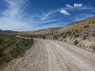 IMG_2529.jpg