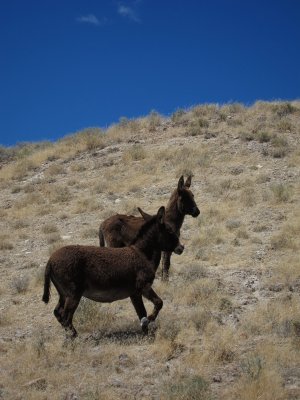 IMG_2530.jpg