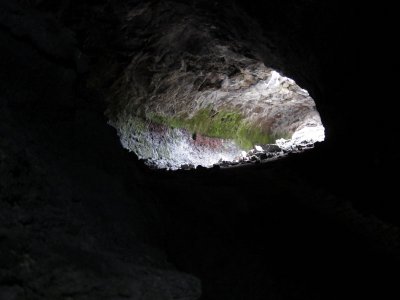 IMG_2595.jpg