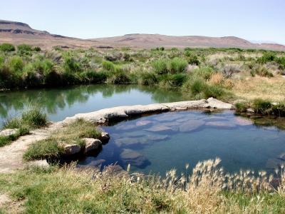 Willow Hot Springs