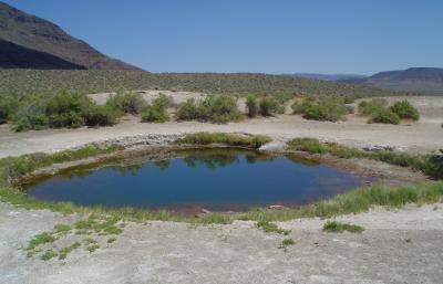 Mickey Hot Springs