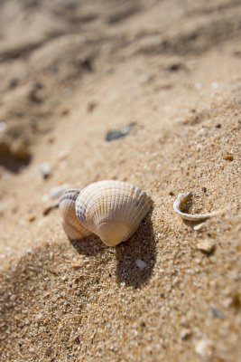 _MG_0046 thorpe bay.jpg