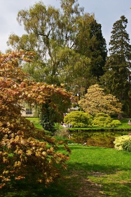 _MG_0066 wakehurst.jpg