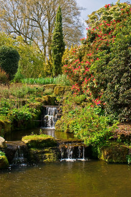 _MG_0069 wakehurst.jpg