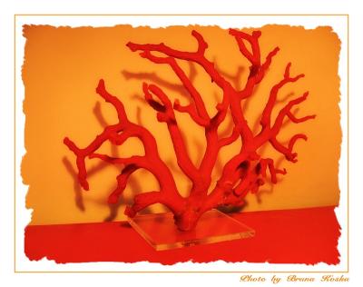 Coral red