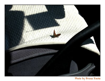 Abstract with butterfly