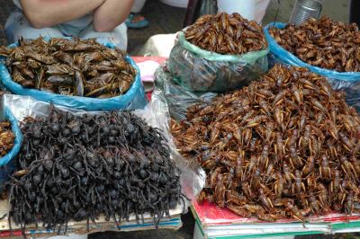 crunchy snacks.JPG