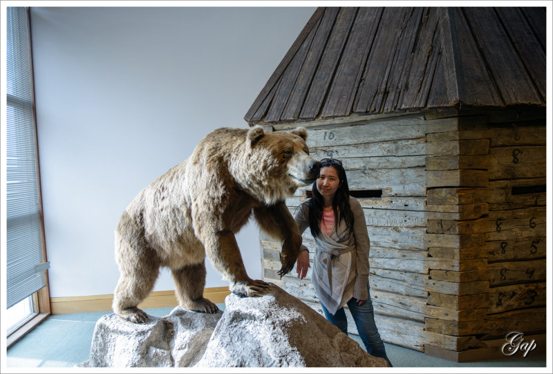Grizzly bear in the museum