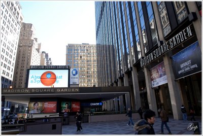 Madison Square Garden