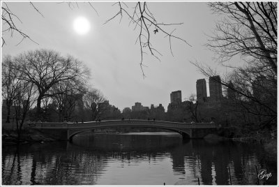 Bow Bridge inside Central Park