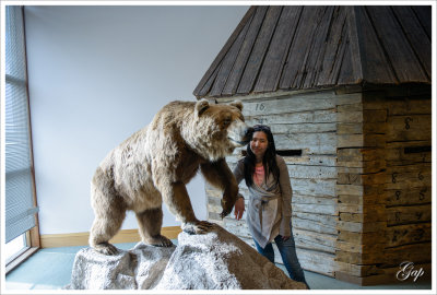 Grizzly bear in the museum