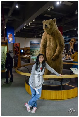 At the University of Alaska Museum of the North