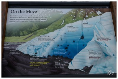 Exit Glacier is moving one foot a day.