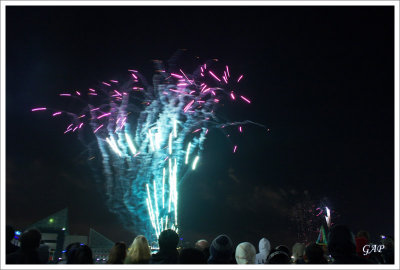 20080101_NewYearCountdown_46_sm.jpg