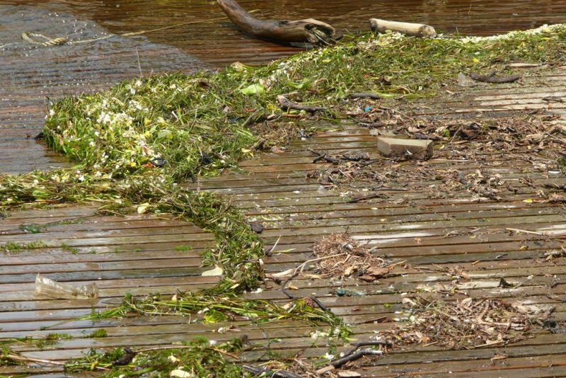Flotsam, Belleville, Ontario