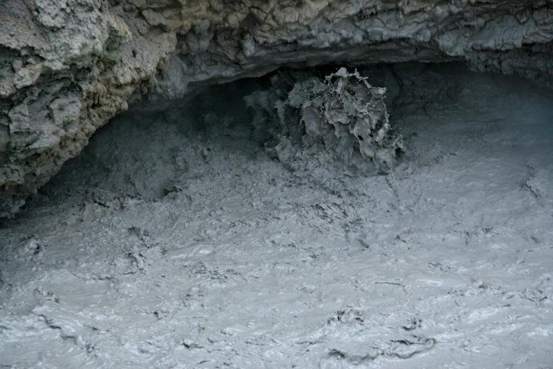 Mud Volcano Area, Yellowstone National Park