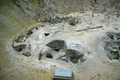 Grizzly Fumarole, Yellowstone National Park