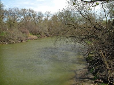 Spring, Humber River, Rowntree Mills Park, Toronto, Ontario