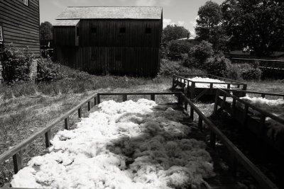 Wool Waiting To Be Carded, Upper Canada Village, Morrisburg, Ontario