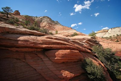 Zion National Park