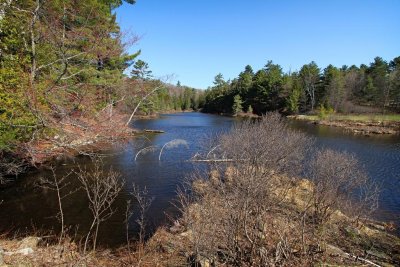 Boyne River, Dwight, Ontario