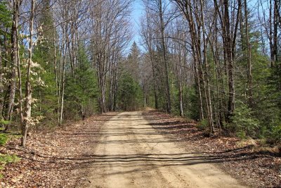Road to Oxtongue Rapids, Near Dwight, Ontario