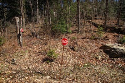 Small Stop Signs, Trout Spawn Lake, Algonquin Park, Ontario