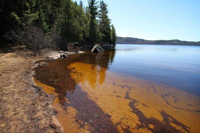 Lake of Two Rivers, Algonquin Park, Ontario