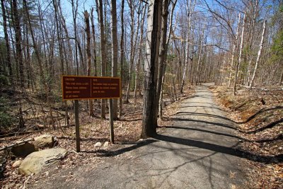 Start of the Lookout Trail, Algonquin Park, Ontario