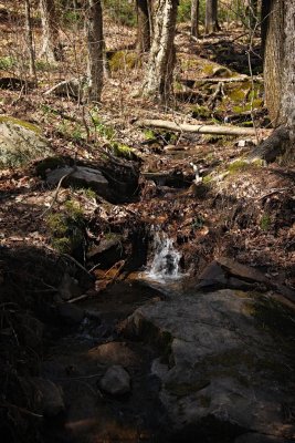 Small Stream, Lookout Trail, Algonquin Park, Ontario