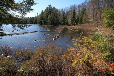 Trout Spawn Lake, Algonquin Park, Ontario