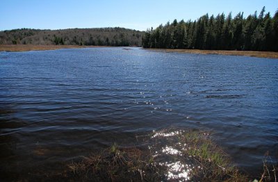 Long Lake, Algonquin Park, Ontario