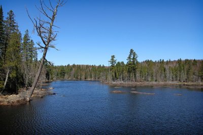 Algonquin Park, Ontario