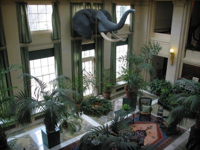 The Conservatory, Eastman House, Rochester, New York