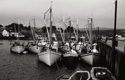Scallop Boats, Digby, Nova Scotia